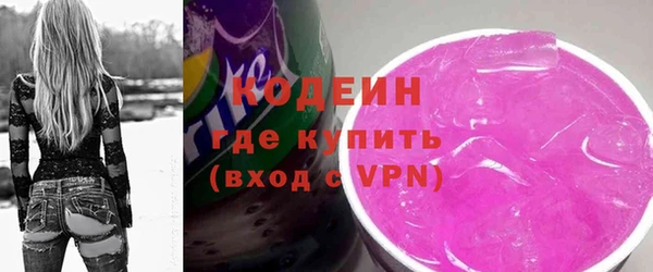 твердый Козельск