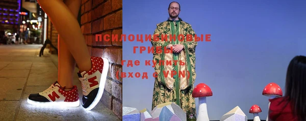 твердый Козельск
