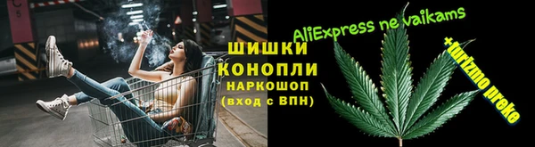 прущие грибы Каменка