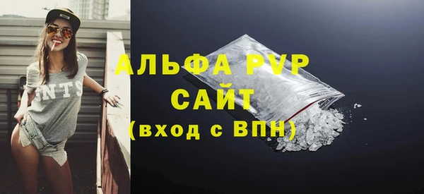 твердый Козельск