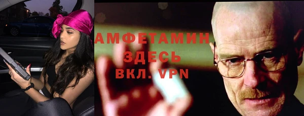 прущие грибы Каменка