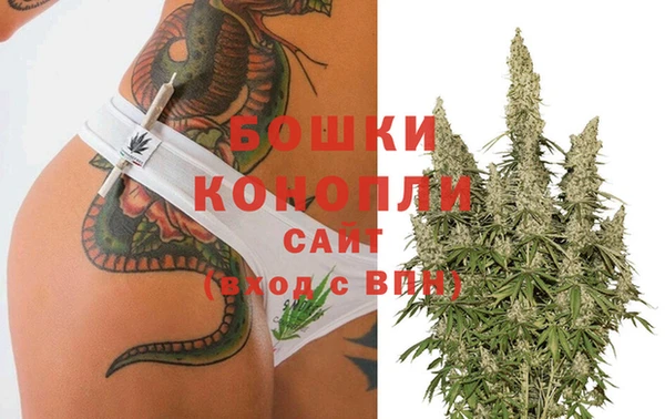 mdpv Каменногорск