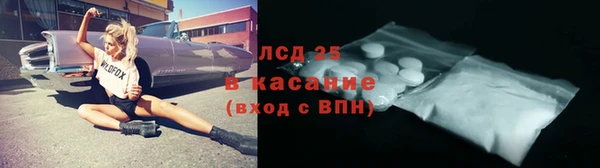 mdpv Каменногорск