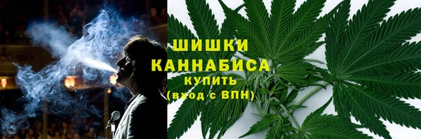 прущие грибы Каменка