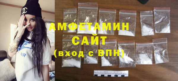 крисы Инта
