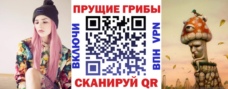 Галлюциногенные грибы ЛСД  Купить  Карабулак 